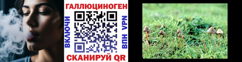 MEGA онион  Зеленодольск  Галлюциногенные грибы Magic Shrooms 